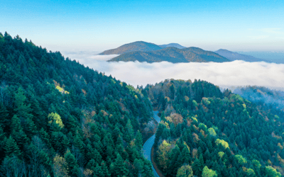 Circuit Troia, Efes, Pamukkale, Cappadocia, Istanbul cu autocarul